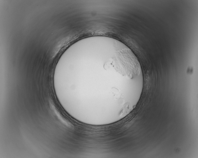 X0000111230638200907231505