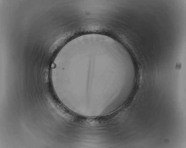 X0000111230640200907231505