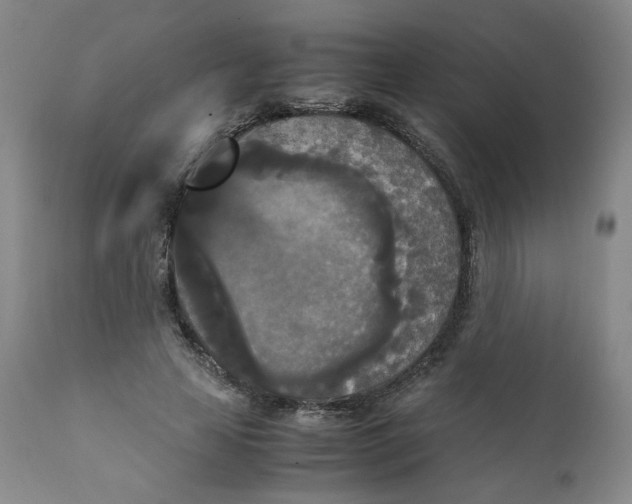 X0000111230641200907231505