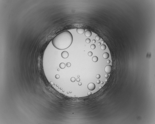 X0000111230646200907231505