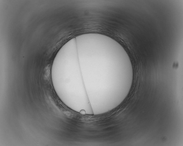 X0000111230647200907231505