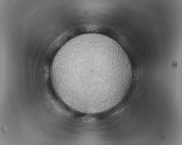 X0000111230648200907231505