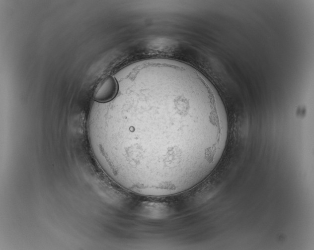 X0000111230649200907231505