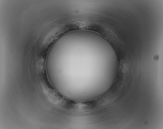 X0000111230650200907231505