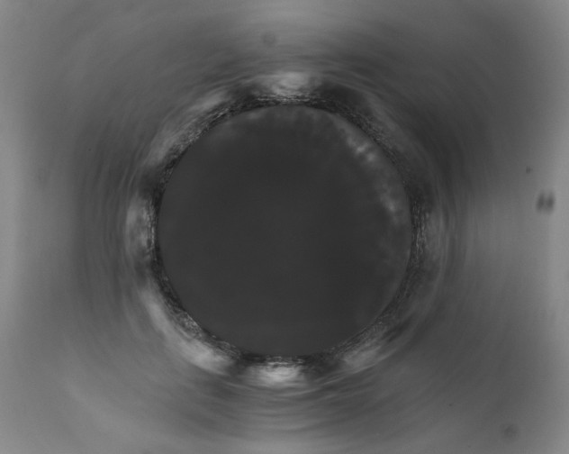 X0000111230651200907231505