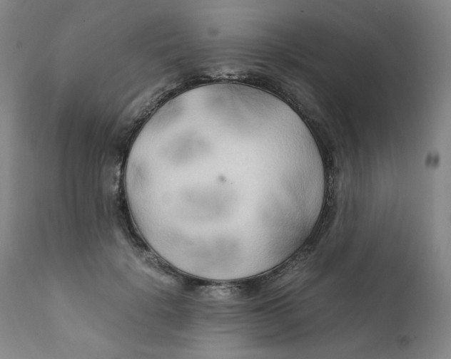 X0000111230652200907231505