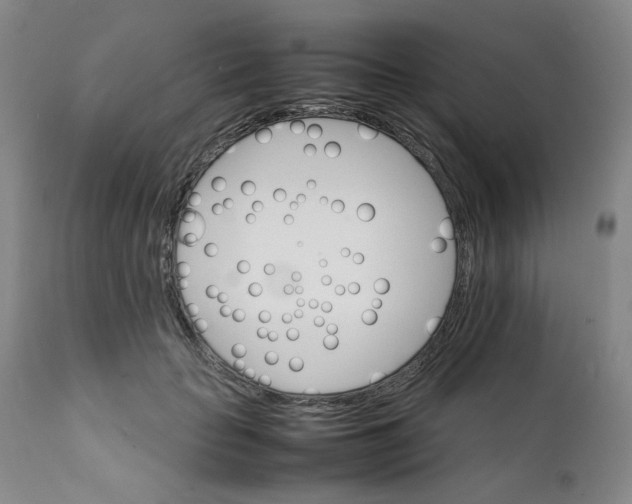 X0000111230653200907231505