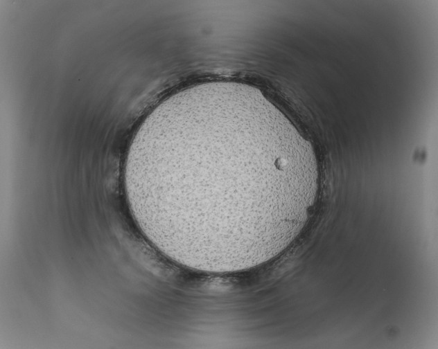 X0000111230656200907231505