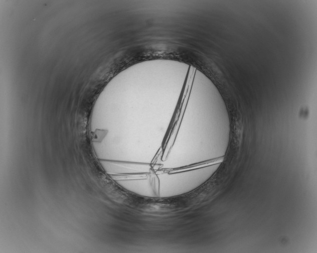 X0000111230657200907231505