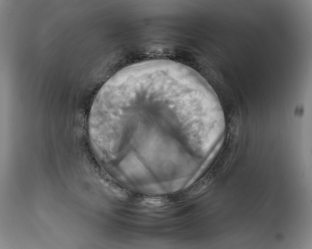 X0000111230659200907231505