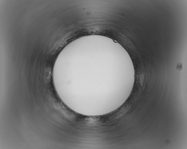 X0000111230660200907231505