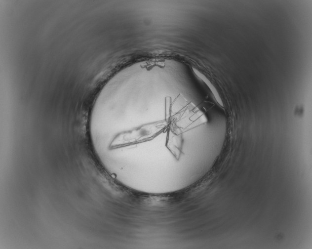 X0000111230664200907231505