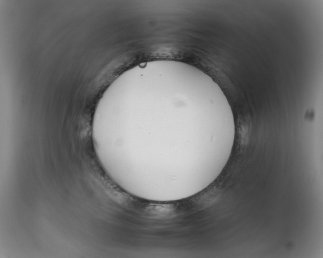 X0000111230665200907231505