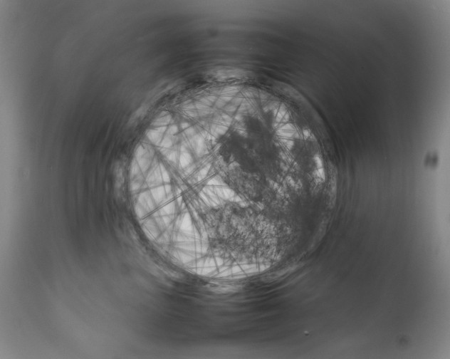 X0000111230667200907231505