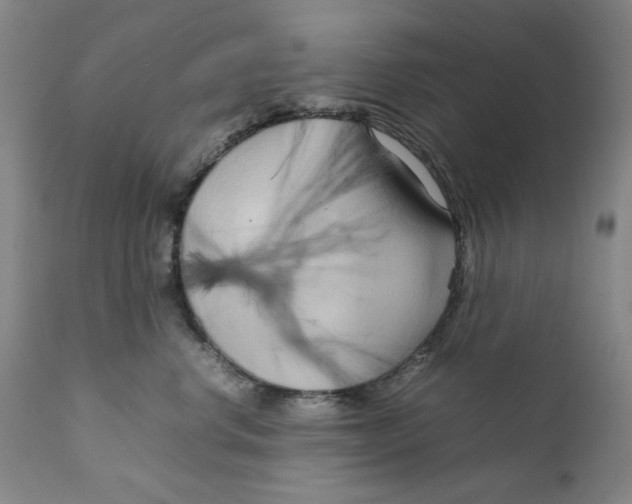 X0000111230668200907231505