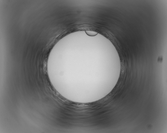 X0000111230669200907231505