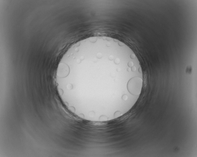 X0000111230670200907231505