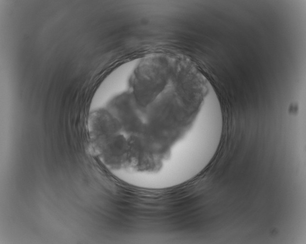 X0000111230671200907231505