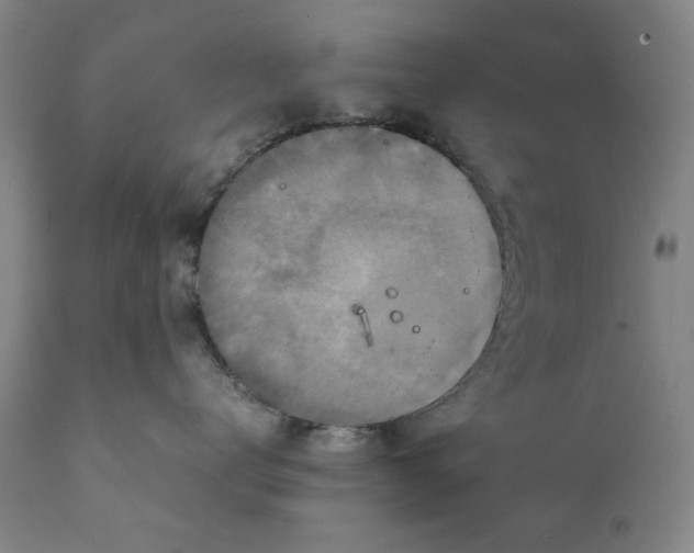 X0000111230672200907231505