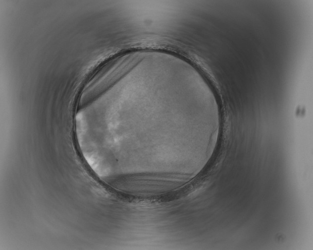 X0000111230673200907231505