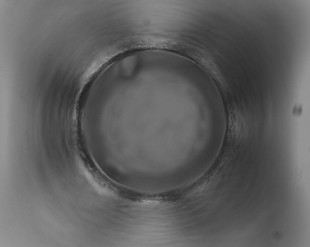 X0000111230674200907231505