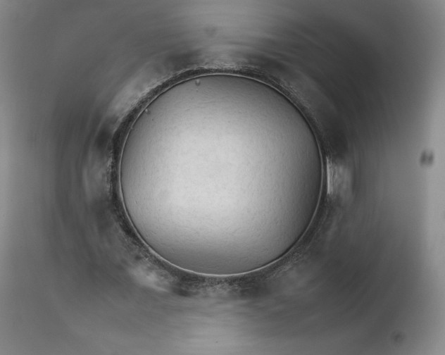 X0000111230675200907231505