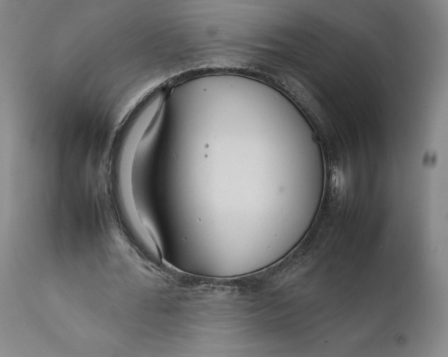 X0000111230676200907231505