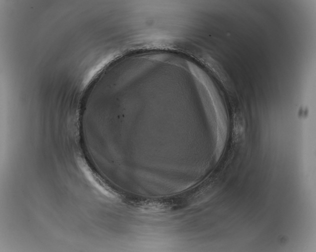 X0000111230677200907231505