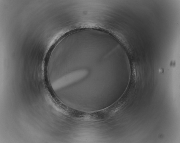 X0000111230678200907231505