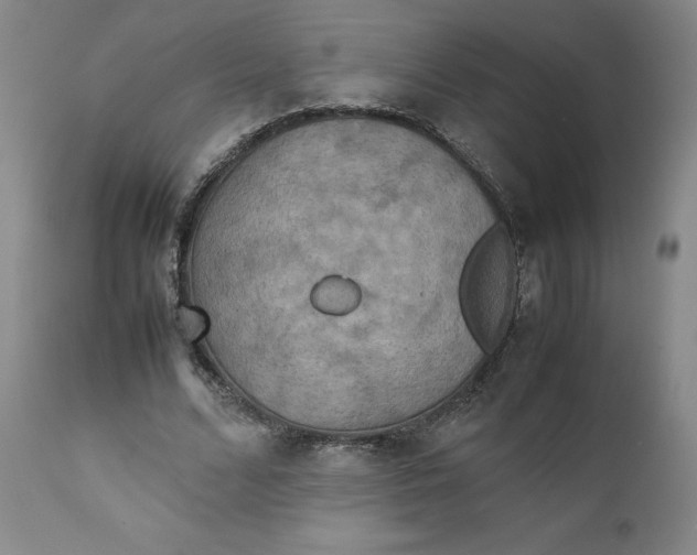 X0000111230680200907231505