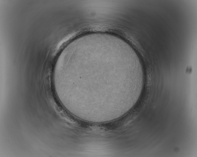 X0000111230681200907231505