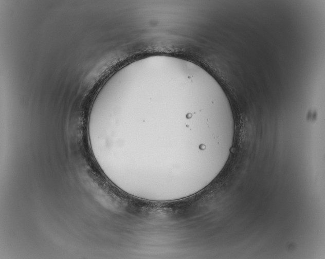 X0000111230683200907231505