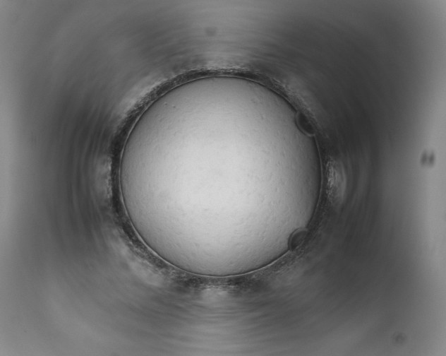 X0000111230684200907231505