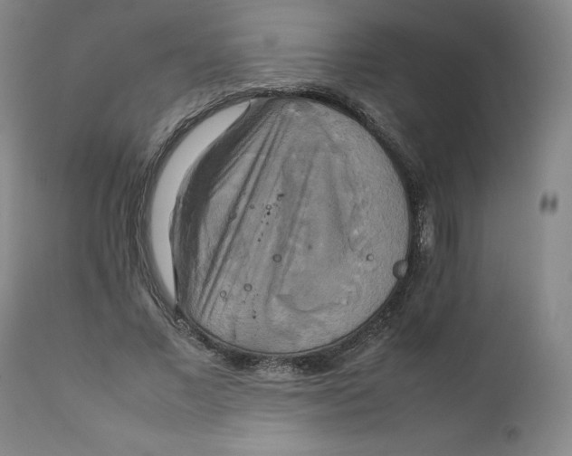 X0000111230685200907231505