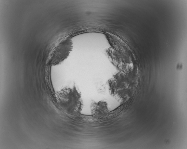 X0000111230687200907231505