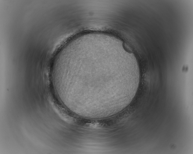 X0000111230688200907231504