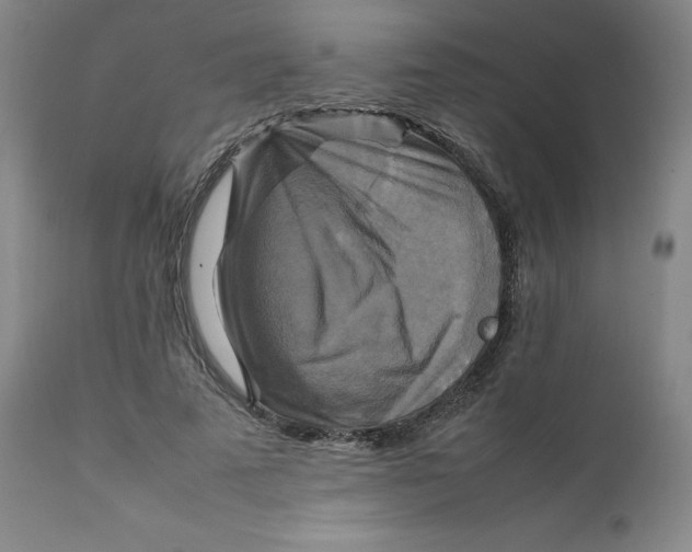 X0000111230689200907231504