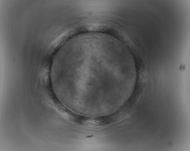 X0000111230691200907231504