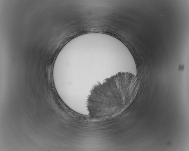 X0000111230695200907231504