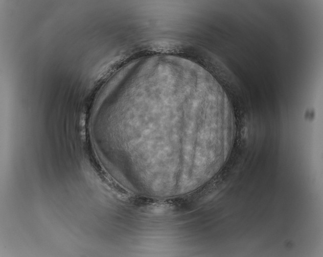 X0000111230696200907231504