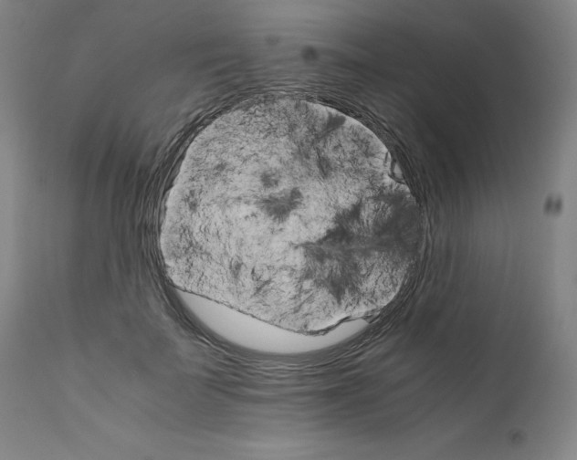 X0000111230699200907231504