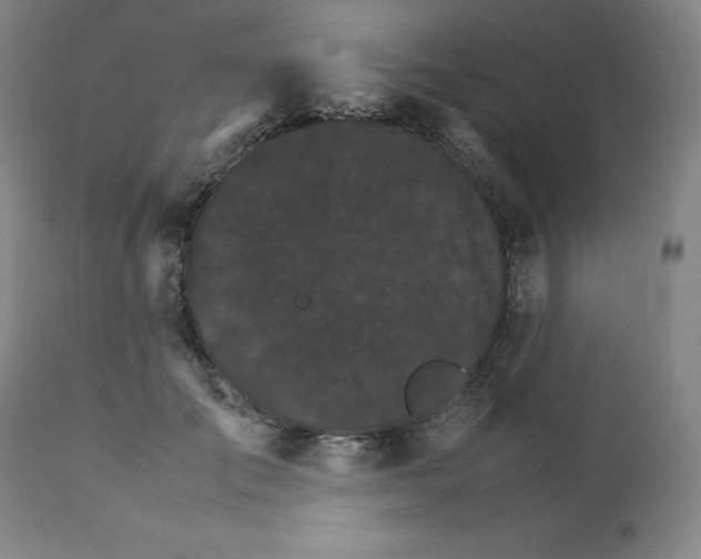 X0000111230701200907231504