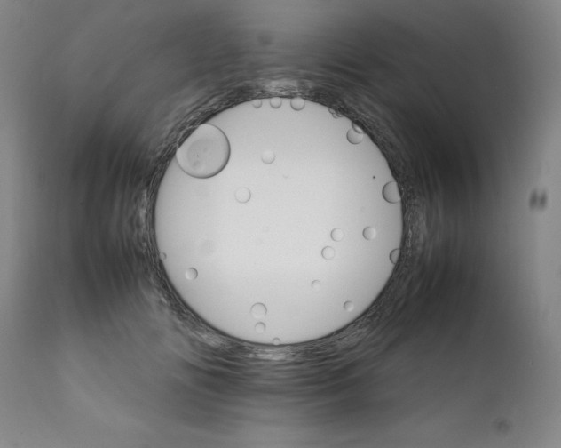 X0000111230702200907231504