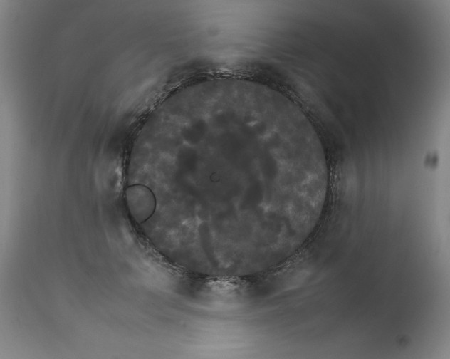 X0000111230703200907231504