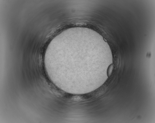 X0000111230704200907231504