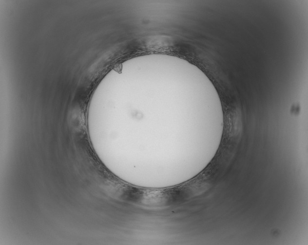 X0000111230705200907231504