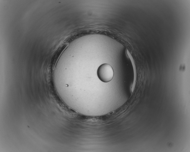 X0000111230708200907231504