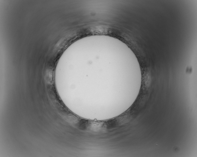 X0000111230709200907231504