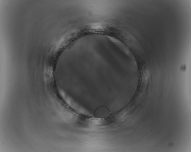 X0000111230711200907231504