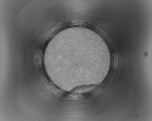 X0000111230712200907231504